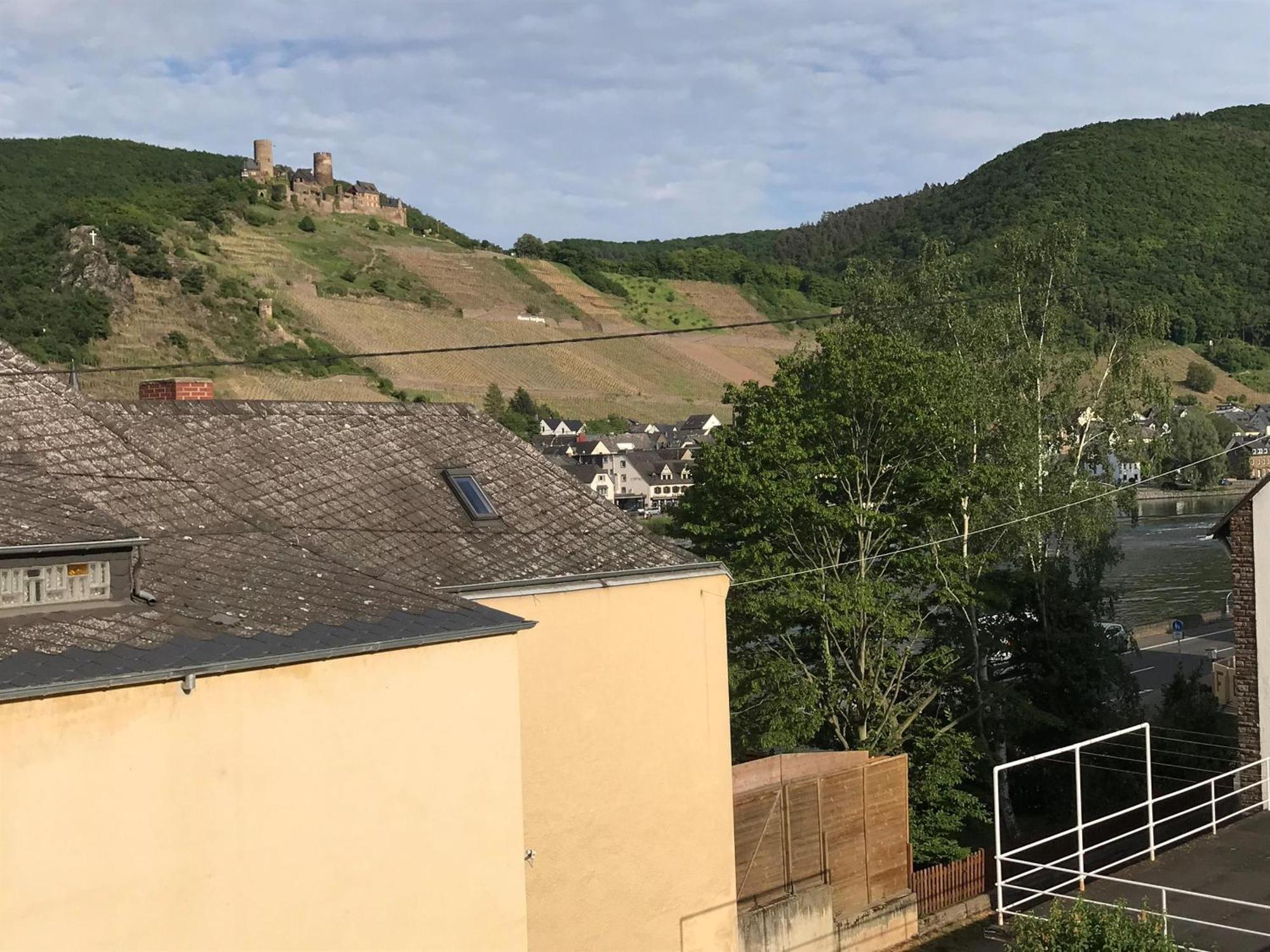 Apartament Bio-Ferienweingut Leyendecker Kattenes Zewnętrze zdjęcie